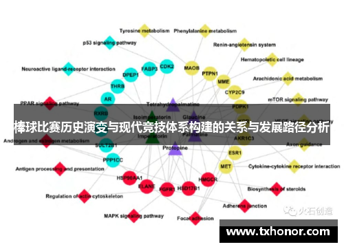 棒球比赛历史演变与现代竞技体系构建的关系与发展路径分析